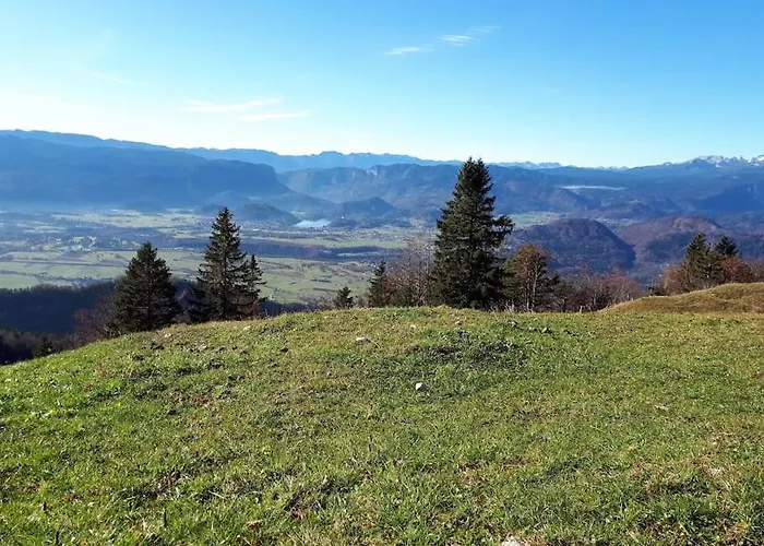 Apartma Juli * Zirovnica