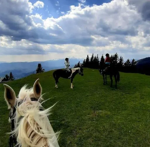 Apartma Juli * ゴレンスカ地方