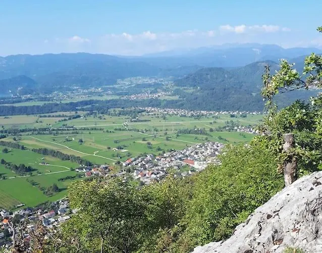 Daire Apartma Juli *